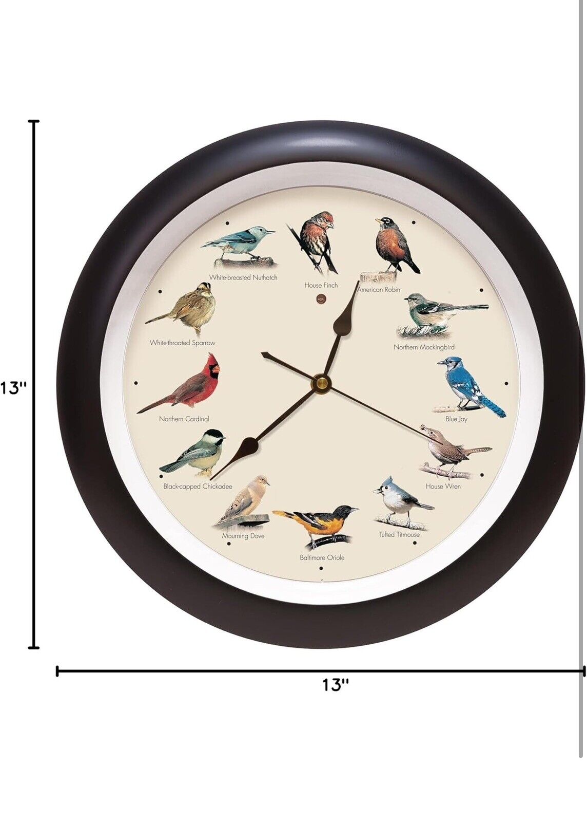 12 Bird Songs Per Hour - 13-Inch Black Analog Wall Clock for Kids & Decor