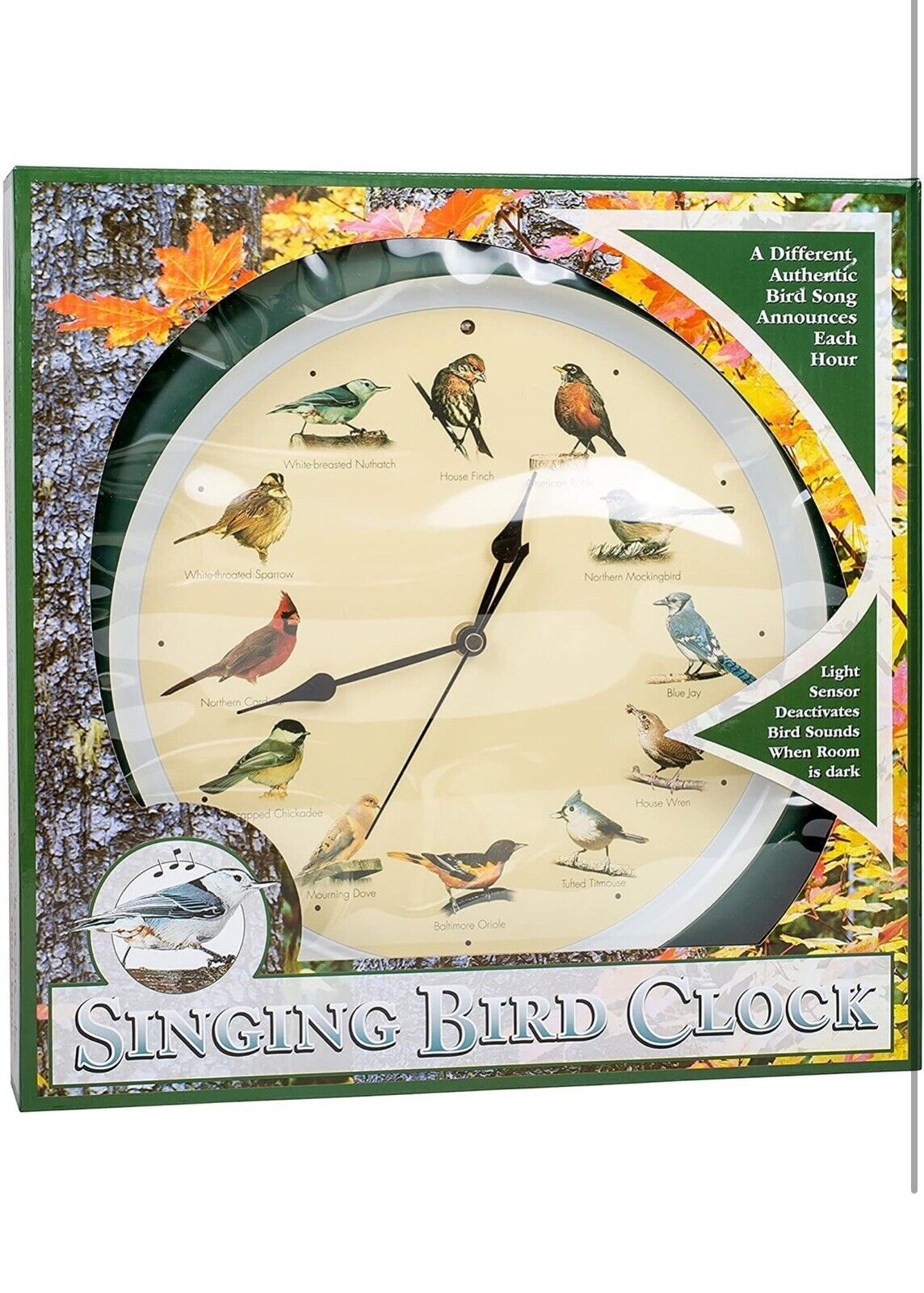 12 Bird Songs Per Hour - 13-Inch Black Analog Wall Clock for Kids & Decor