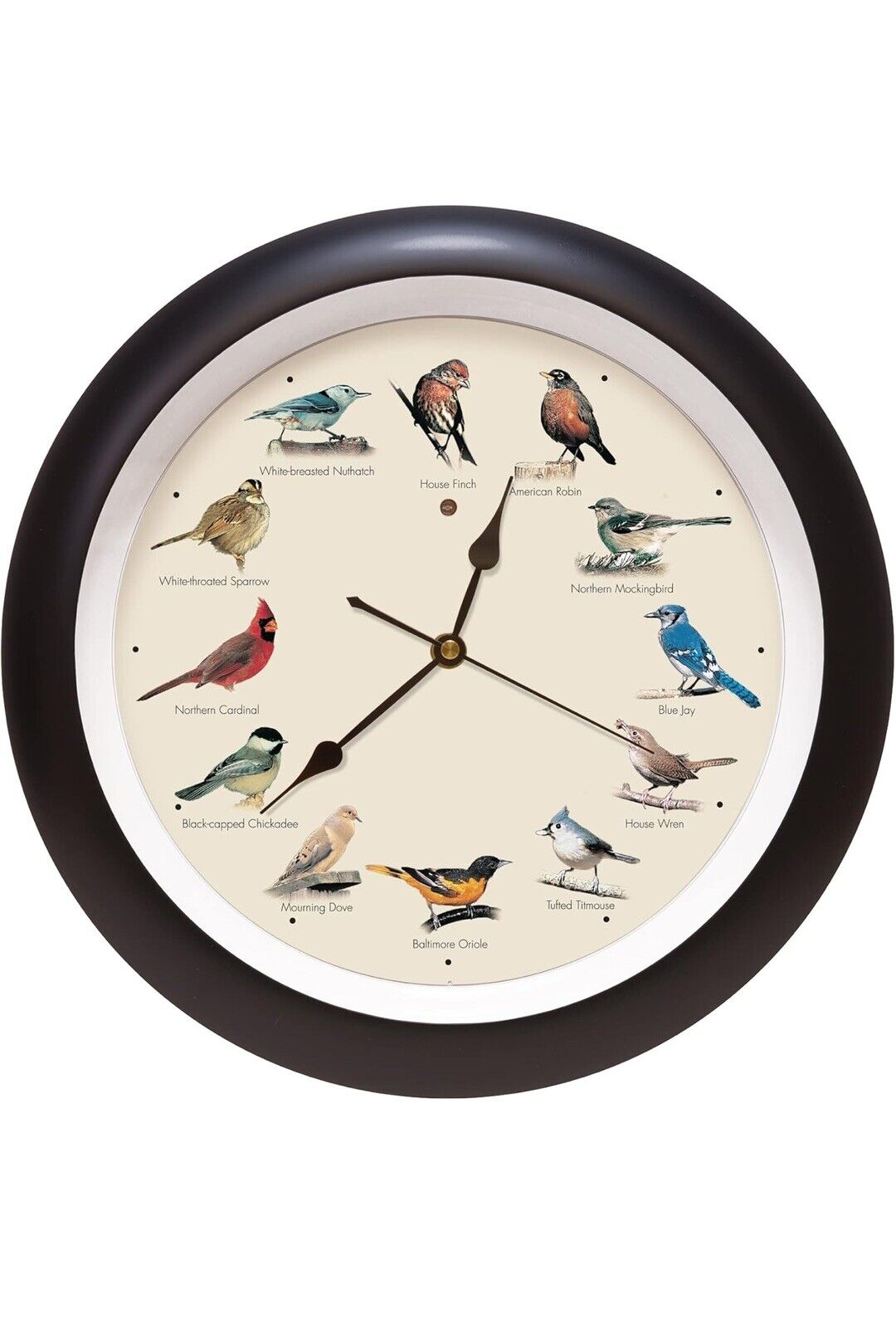 12 Bird Songs Per Hour - 13-Inch Black Analog Wall Clock for Kids & Decor