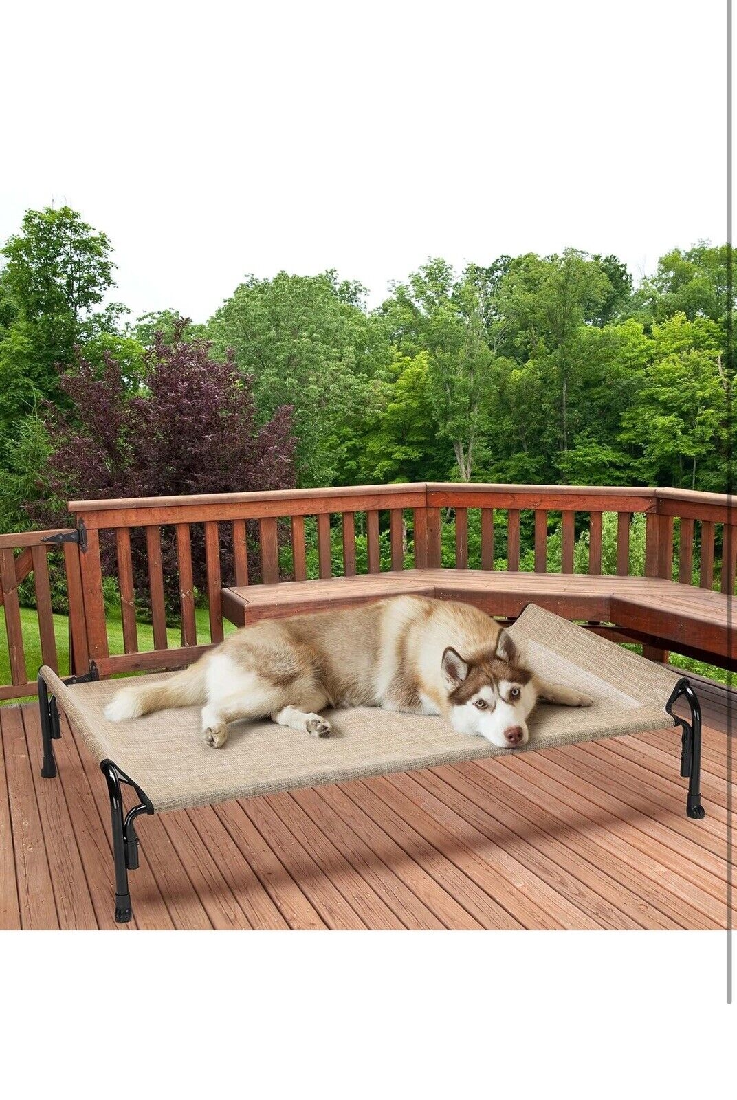 Elevated Dog Bed, Outdoor Raised Dog Cots Bed for Large Dogs, Cooling Camping El